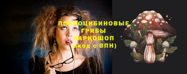 Альфа ПВП Верея