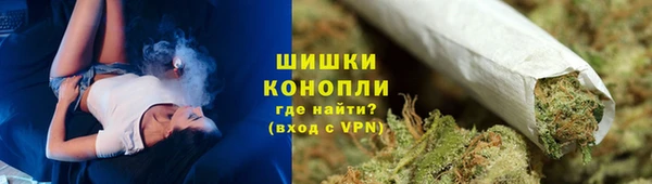 Альфа ПВП Верея