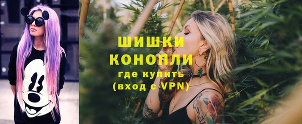 Альфа ПВП Верея