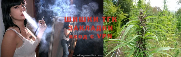 Альфа ПВП Верея