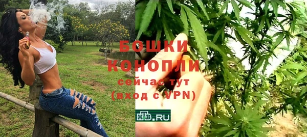 Альфа ПВП Верея