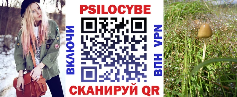 ссылка на мегу зеркало  Вяземский  Галлюциногенные грибы мухоморы  хочу  